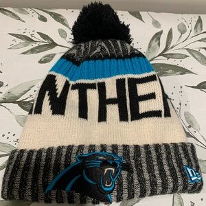Carolina Panther Beanie Winter Hat